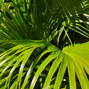 欧美日韩色色不卡免费看
